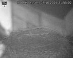 Capi_Dubne_20261007_215502.jpg