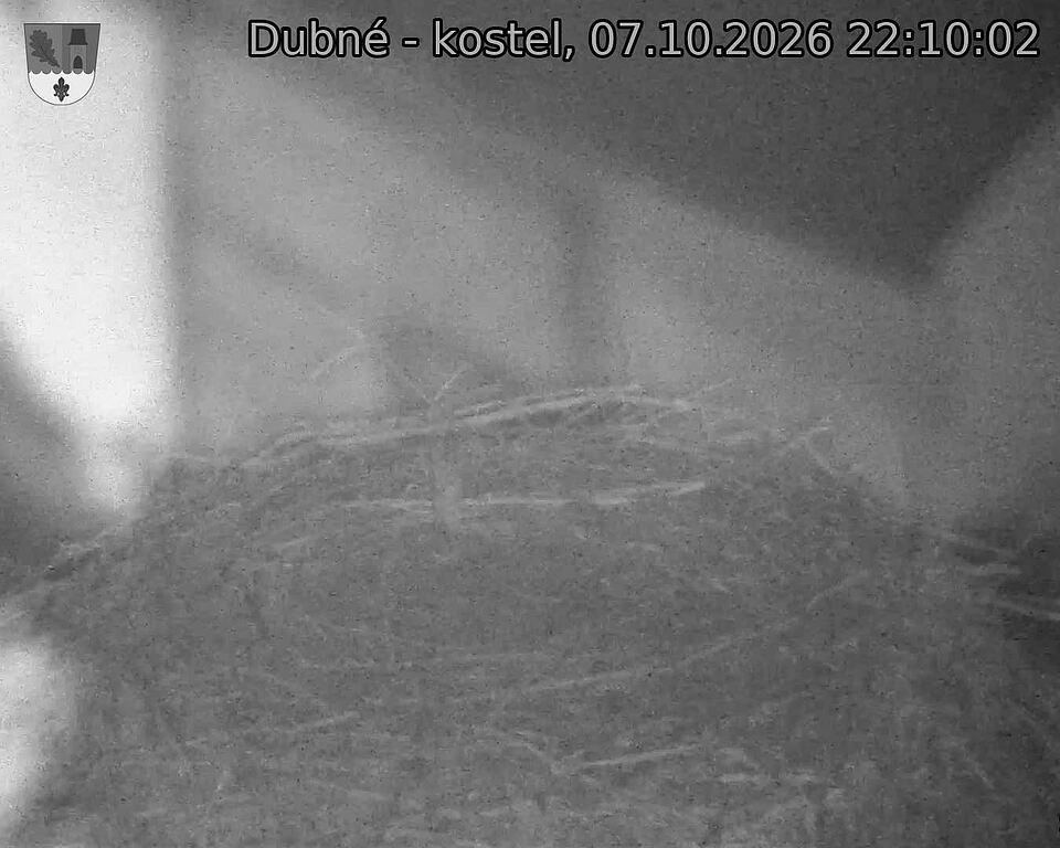 preload