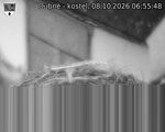 Capi_Dubne_20261008_065548.jpg