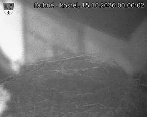 Capi_Dubne_20261015_000002.jpg (1350&nbsp;x&nbsp;1080)