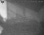 Capi_Dubne_20261015_011002.jpg