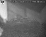 Capi_Dubne_20261015_011503.jpg