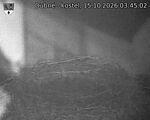 Capi_Dubne_20261015_034502.jpg