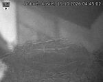 Capi_Dubne_20261015_044502.jpg