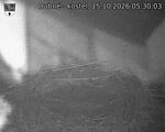 Capi_Dubne_20261015_053003.jpg