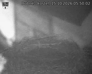 Capi_Dubne_20261015_055002.jpg (1350&nbsp;x&nbsp;1080)