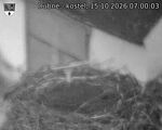 Capi_Dubne_20261015_070003.jpg