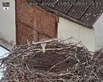 Capi_Dubne_20261015_072003.jpg