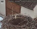 Capi_Dubne_20261015_075503.jpg