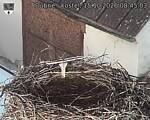 Capi_Dubne_20261015_084503.jpg