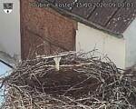 Capi_Dubne_20261015_090003.jpg