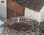 Capi_Dubne_20261015_091003.jpg
