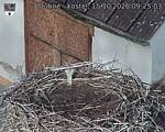 Capi_Dubne_20261015_092503.jpg