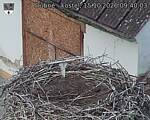 Capi_Dubne_20261015_094003.jpg