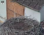 Capi_Dubne_20261015_123503.jpg
