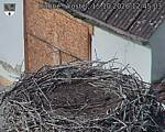 Capi_Dubne_20261015_124503.jpg
