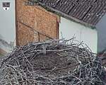 Capi_Dubne_20261015_130003.jpg
