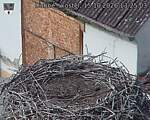 Capi_Dubne_20261015_132503.jpg
