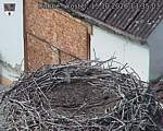 Capi_Dubne_20261015_133503.jpg
