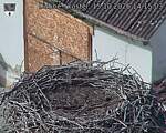 Capi_Dubne_20261015_141503.jpg