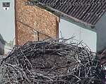Capi_Dubne_20261015_142503.jpg