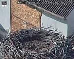 Capi_Dubne_20261015_152503.jpg