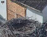Capi_Dubne_20261015_160503.jpg