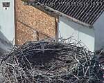 Capi_Dubne_20261015_161003.jpg