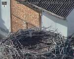 Capi_Dubne_20261015_161503.jpg
