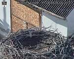 Capi_Dubne_20261015_162003.jpg