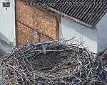 Capi_Dubne_20261015_163503.jpg