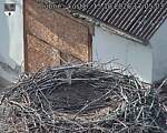 Capi_Dubne_20261015_170503.jpg
