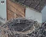 Capi_Dubne_20261015_171503.jpg