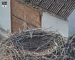 Capi_Dubne_20261015_172003.jpg