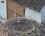 Capi_Dubne_20261015_175003.jpg