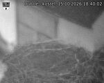 Capi_Dubne_20261015_184002.jpg