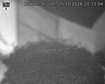 Capi_Dubne_20261015_201504.jpg