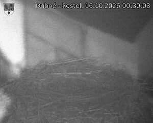 Capi_Dubne_20261016_003003.jpg (1350&nbsp;x&nbsp;1080)