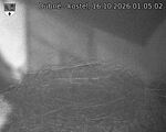 Capi_Dubne_20261016_010502.jpg