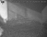 Capi_Dubne_20261016_033503.jpg
