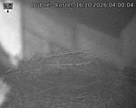 Capi_Dubne_20261016_040004.jpg