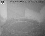 Capi_Dubne_20261016_070004.jpg