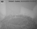 Capi_Dubne_20261016_070643.jpg