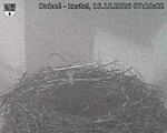 Capi_Dubne_20261016_071002.jpg