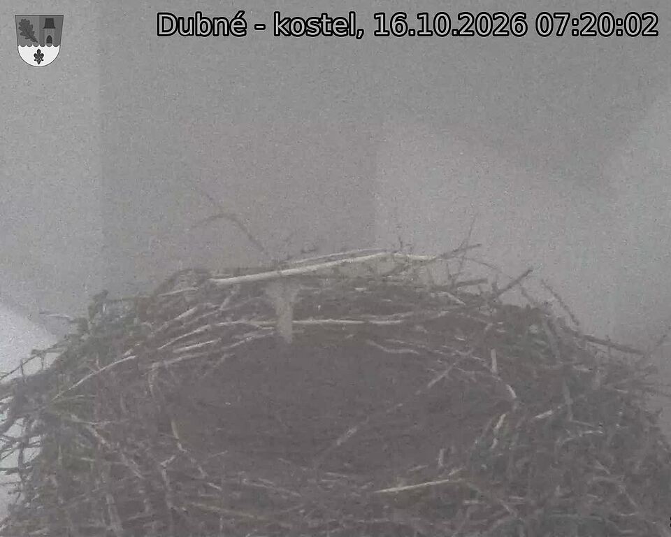Capi_Dubne_20261016_072002.jpg (1350&nbsp;x&nbsp;1080)