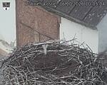 Capi_Dubne_20261016_100504.jpg