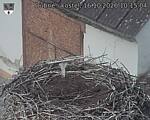 Capi_Dubne_20261016_101504.jpg