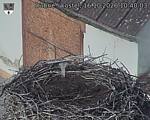 Capi_Dubne_20261016_104003.jpg