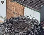 Capi_Dubne_20261016_130003.jpg