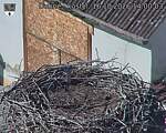 Capi_Dubne_20261016_140003.jpg